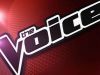 The Voice of HollandAflevering 12